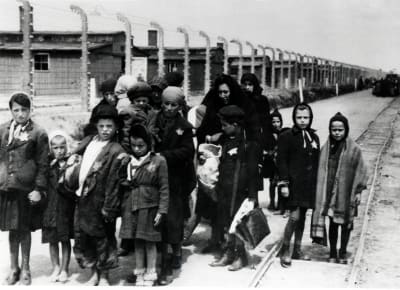 Fångar anländer till koncentrationslägret Auschwitz-Birkenau i juni 1944. 
