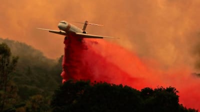 Ett flygplan fäller brandförebyggande medel över en skog i Kalifornien.