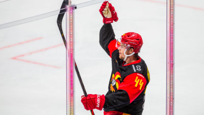 Mikko Lehtonen firar ett mål.