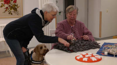 Anna-Lisa Schuvalow gömmer godis för vårdhunden Cooper under ledning av hundföraren Annika Alopeus