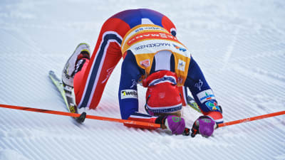 Therese Johaug, mars 2016.