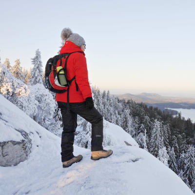 En kvinna står på ett berg och tittar ut över vattnet i Kolis nationalpark i december 2020.