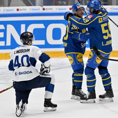 Petteri Lindbohm ser svenska spelare fira ett mål.