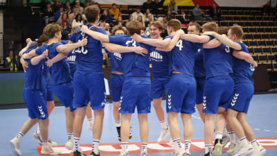 Finland players celebrate after the win.