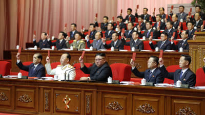 Det nordkoreanska arbetarpartiets åttonde partikongress beslöt att hädanefter hålla partikongresser vart femte år.