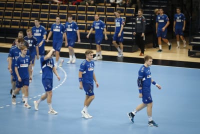 Finlands handbollsherrar tågar in i rad.