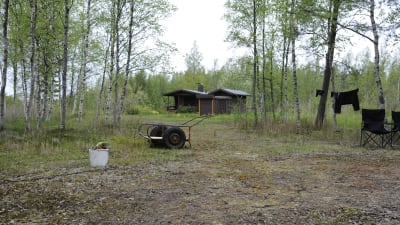 Sommarstuga i grönskan på Hanhikivi, sopkärl och liten kärra i förgrunden