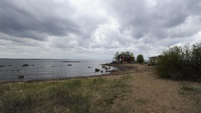 Sommarstugor som kärnkraftsaktivister fått ta över på Hanhikivi