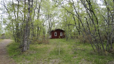 Sommarstuga i grönskan på Hanhikivi, Pyhäjoki, i närheten av Fennovoimas kärnkraftsbygge