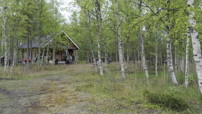 Sommarstuga i grönskan på Hanhikivi