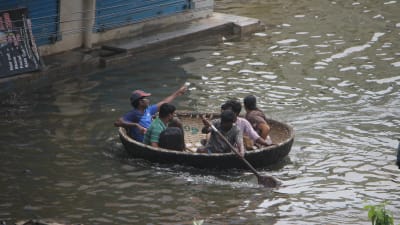 Indier flyr från översvämningarna i staden Chennai.