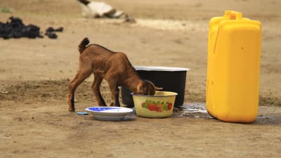 killing dricker vatten i norra uganda