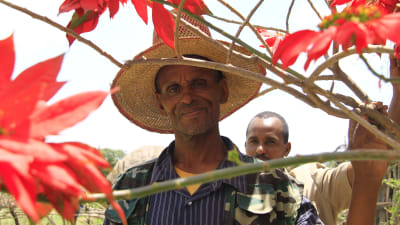 etiopisk bonde
