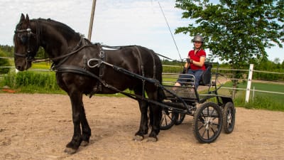 Charlotta Turku med häst och vagn. 