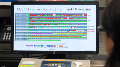 En dator i ett laboratorium. På skärmen visas en proteinstruktur.