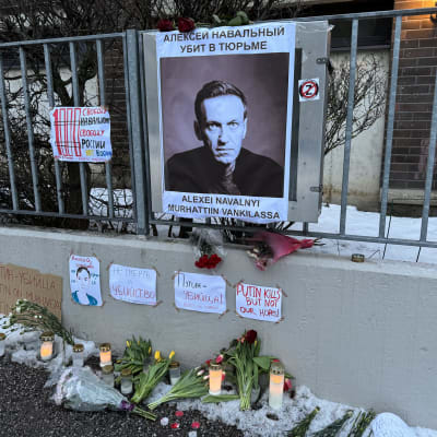 Aitaan on kiinnitetty Alexei Navalnyin kuva ja muita tekstejä. Maahan on laitettu kukkia ja kynttilöitä.