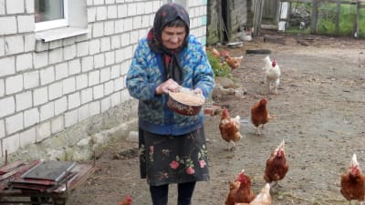 Äldre kvinna med sina höns i Vitryssland.