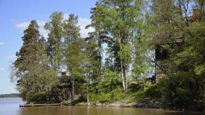 Halosenniemi vid Tusby träsk