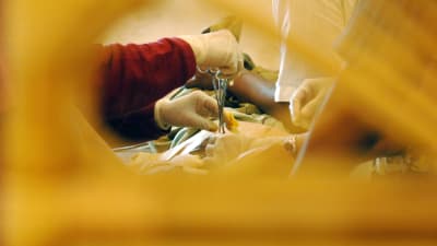 En sax och plasthandskar när en pojke blir omskärd i Indonesien