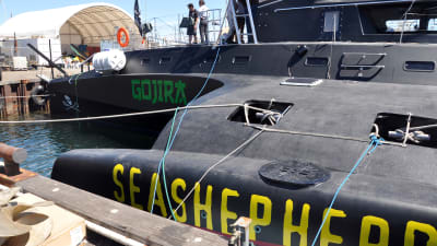 Naturskyddsorganisationen Sea Shepherds fartyg Gojira, som fått namnet efter det japanska namnet på filmen Godzilla, sjösattes i Fremantle i Australien 2010.