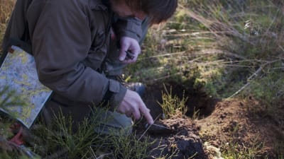 Arkeologer på jakt efter fornlämningar i Ingå skogar.
