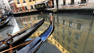 Gondolit odottavat tyhjinä hiljaisessa Venetsiassa kanavan laidalla.