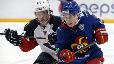 Ziga Jeglic och Steve Moses.