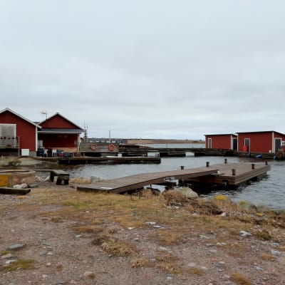 röda båthus vid en stenig hamn