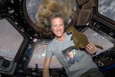 Yhdysvaltalainen astronautti Karen Nyberg on kansainvälisellä avaruusasemalla j näyttää dinosaurusta, jonka hän ompeli pojalleen avaruusasemalla ollessaan.