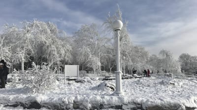 Frost i Niagara Falls i delstaten New York den 2 januari 2018