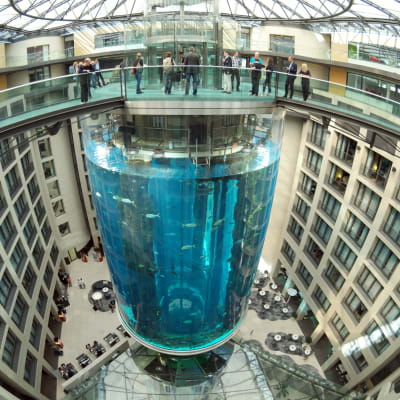Det cylinderformade akvariet Aquadom i Berlin.