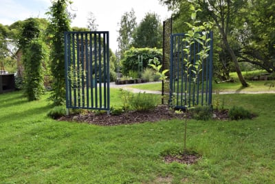 Träskärmar av ribbor i en trädgård