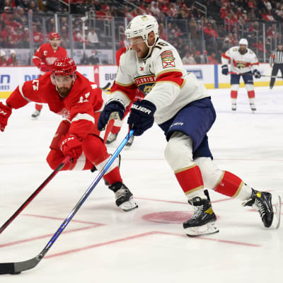 Aleksander Barkov Florida-paidassa kamppailee kiekosta Detroit Red Wingsin pelaajan kanssa jääkiekkokaukalossa.