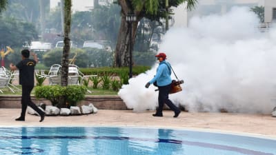 En man går längsmed en poolkant och sprutar insektgift i ett moln.