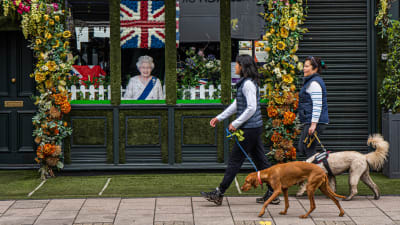 En bild av drottning Elizabeth i ett pubfönster.
