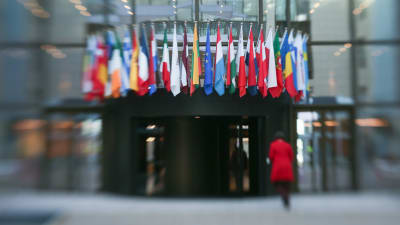 EU-länders flaggor i Bryssel i februari 2014