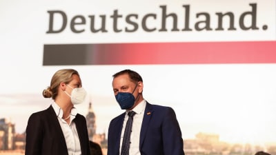 Alice Weidel och Tino Schrupalla.
