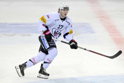 Janne Kuokkanen spelar ishockey.
