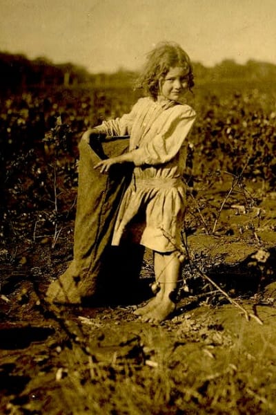 Viisivuotias Edith poimii paljain jaloin puuvillaa pellolla Texasissa vuonna 1913.