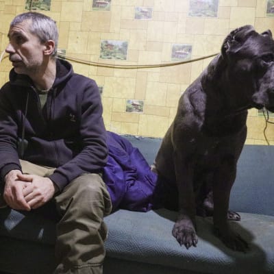 En man med hund i Luhansk i östra Ukraina. 