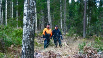 Två män i arbetskläder står i en skog.