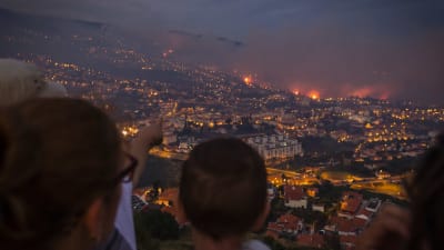 Skogsbrand i Funchal, Madeira.