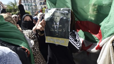 Protester mot Algeriets interimspresident Abdelkader Bensalah: "Bensalah, försvinn. Vi litar inte på dig", står det på ett plakat. Alger 10.4.2019