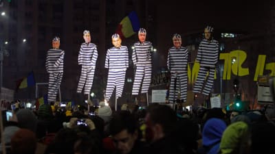 Demonstranter bär på dockor som föreställer ledande socialdemokrater i fångdräkter, Bukarest 5.2.2017