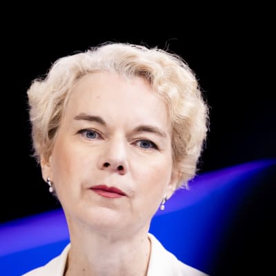 Viron kansainvälisen puolustustutkimuskeskuksen ICDS:n varajohtaja Kristi Raik .