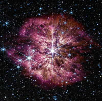 En bild på en stjärna tagen med ett rymdteleskop strax före en supernova, alltså en enorm explosion. Det finns lila stjärndamm runt stjärnan.