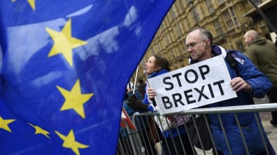 Britter utanför parlamentshuset håller skylt med texten "stoppa brexit".