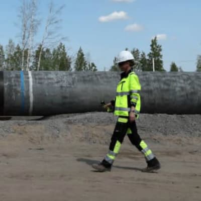 Arbeten på Nord Stream 2 i ryska Kingisepp i juni. 