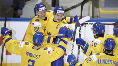 Sverige firar Erik Brännströms mål mot Finland.