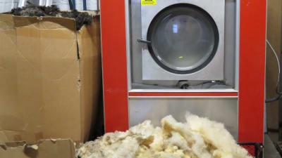 En jättestor, röd tvättmaskin som tvättar fårull. Framför maskinen stora högar med fårull.